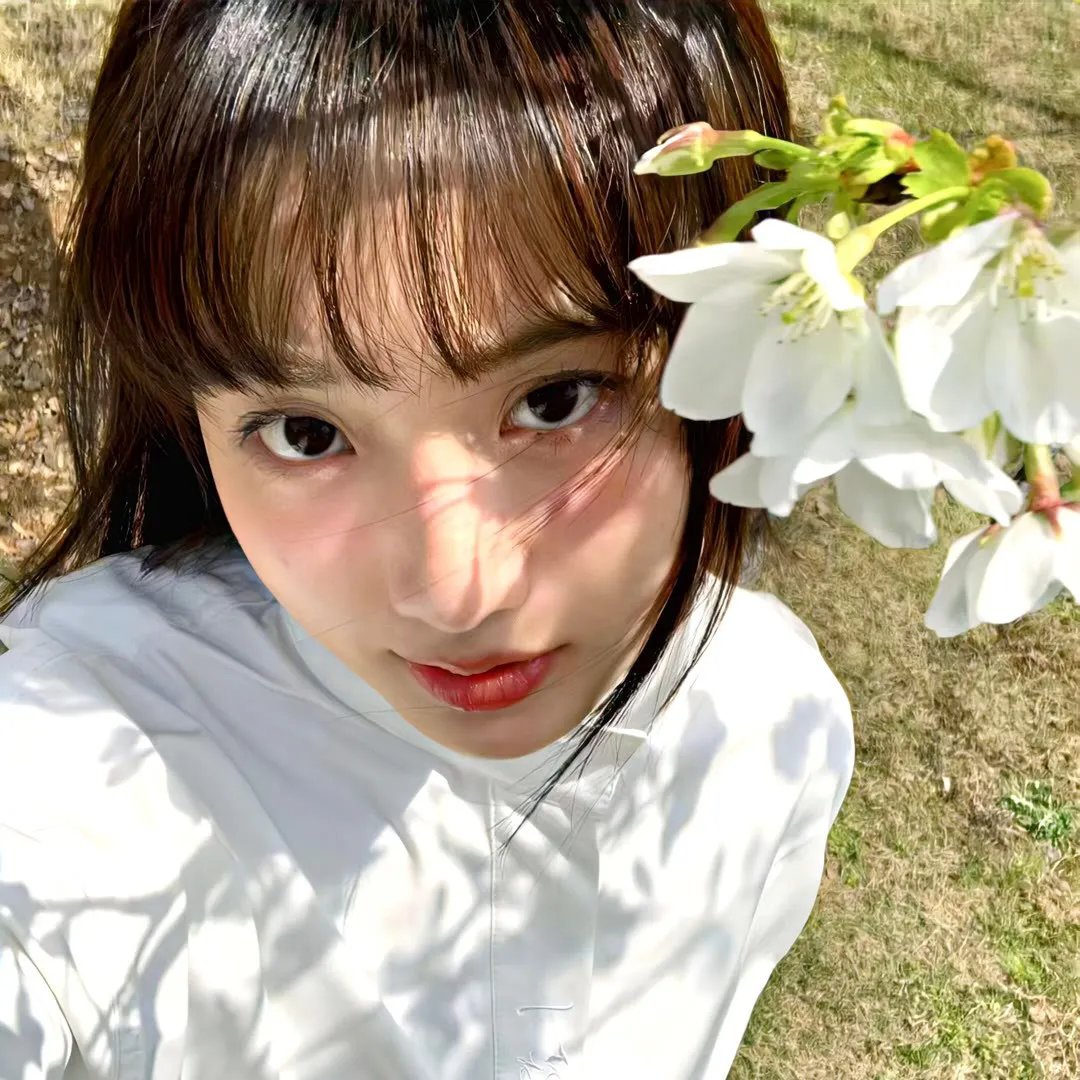 加菲猫2